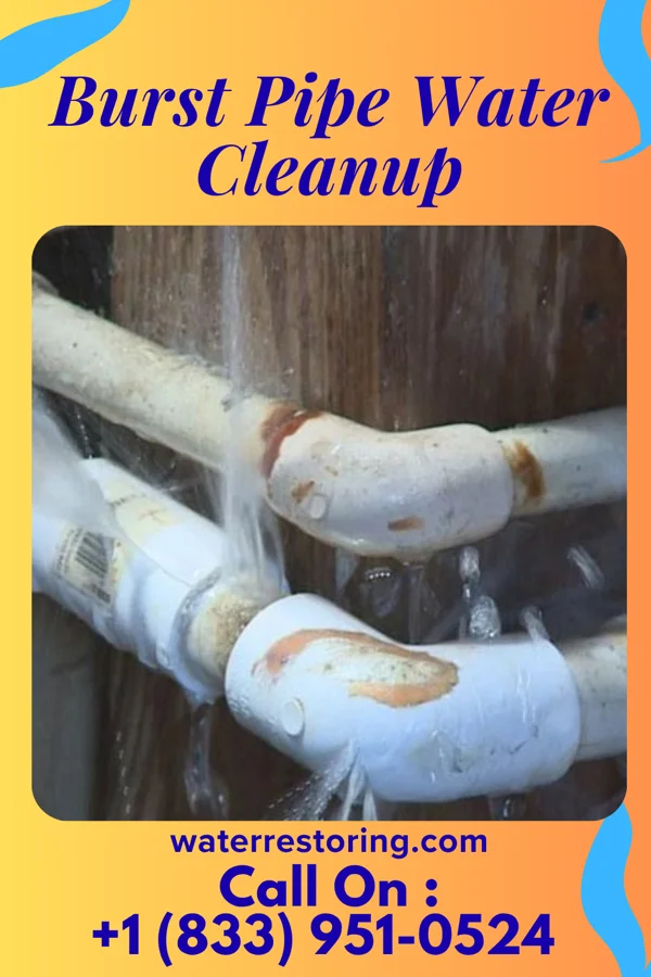 Burst Pipe Water Cleanup in Milpitas, CA